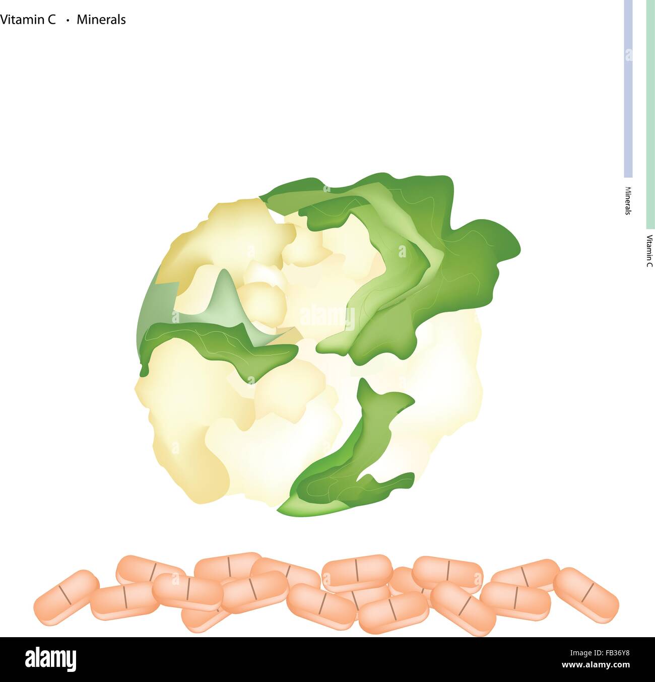 Healthcare Concept, Illustration of Fresh Cauliflower Vitamin C and Minerals Tablet, Essential