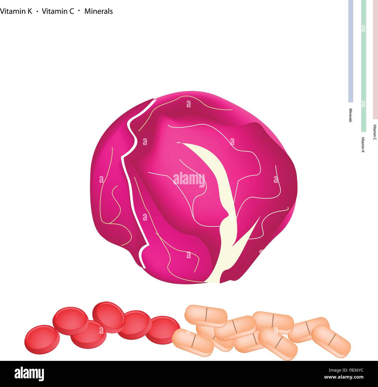 Healthcare Concept, Illustration of Red Cabbage with Vitamin K, Vitamin