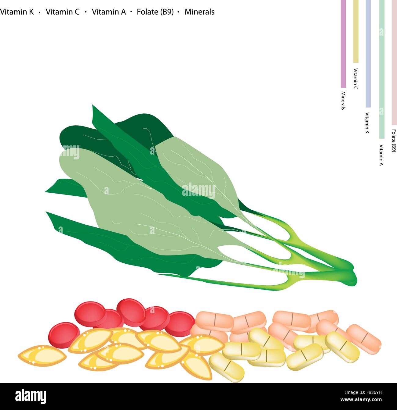 Healthcare Concept, Illustration of Fresh Chinese Kale or Chinese
