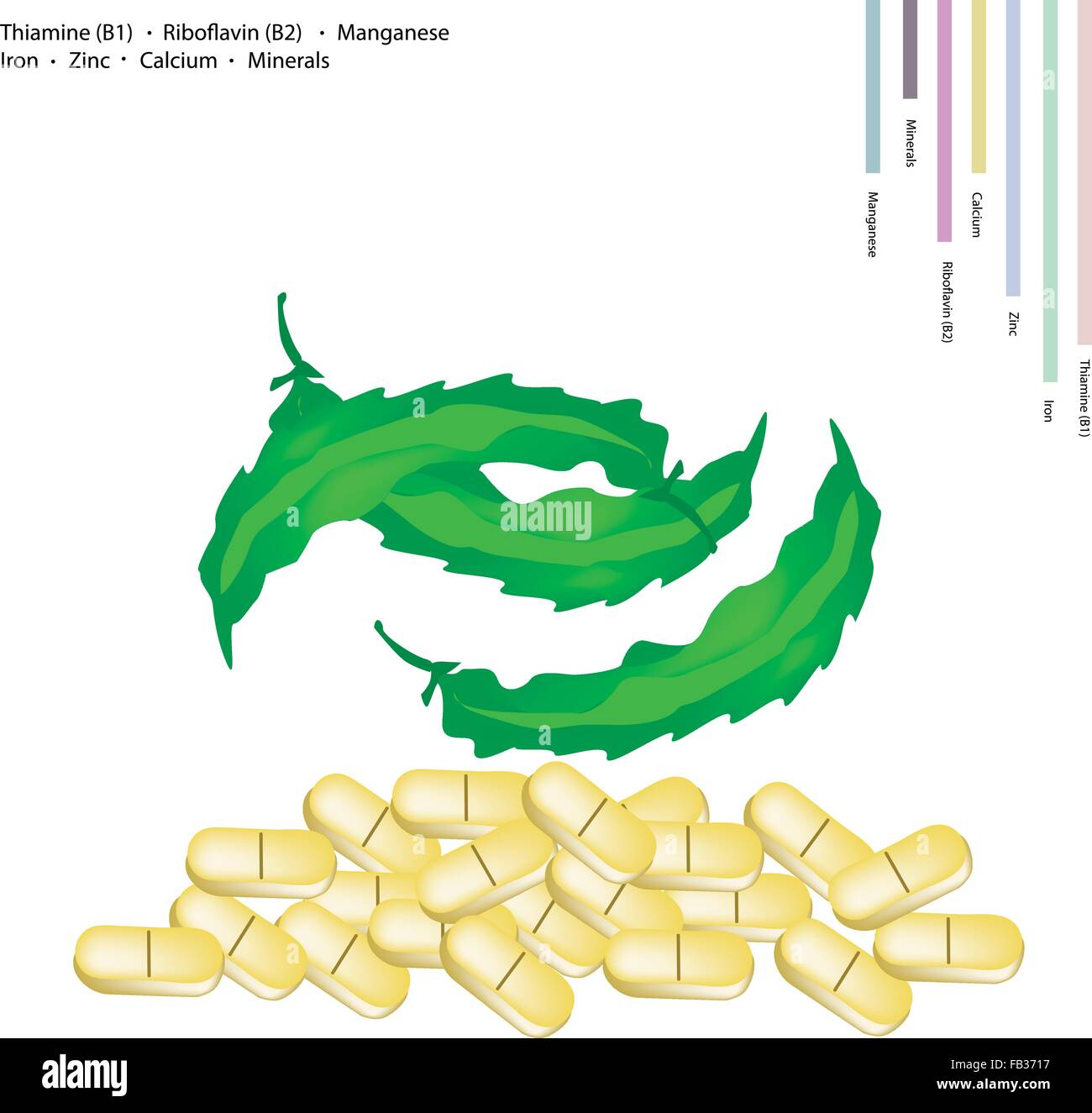 Healthcare Concept, Winged Bean, Goa Bean or Four Angled Bean with