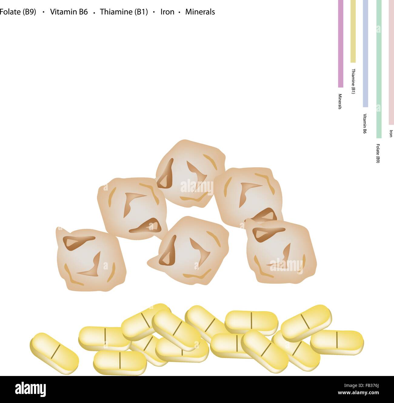 Healthcare Concept, Illustration of Dried Garbanzo Beans or Chickpea