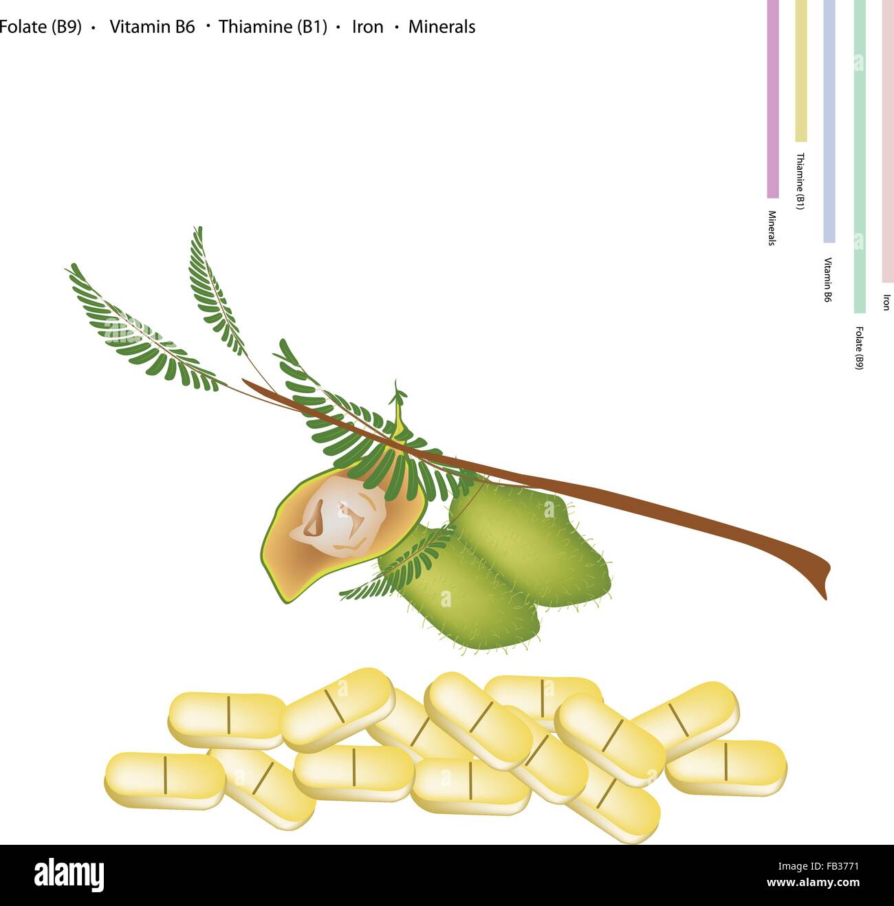 Healthcare Concept, Illustration of Garbanzo Beans or Chickpea with