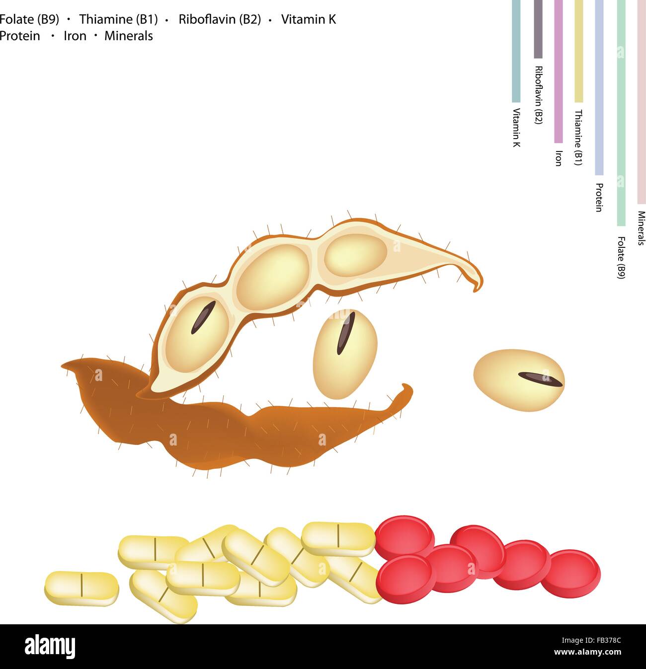 Healthcare Concept, Soybean or Edamame with Folate B9, Thiamine B1