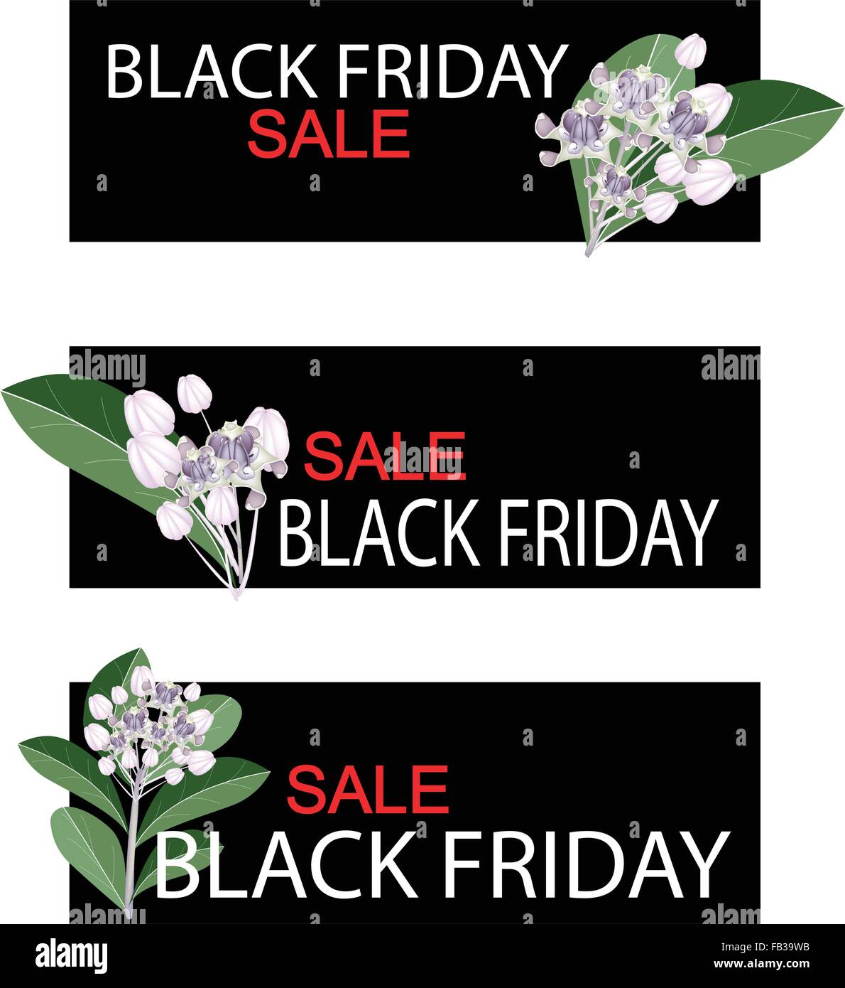 Illustration of Calotropis Gigantea Flowers or Crown Flowers on Black Friday Shopping Banner for Start Christmas Shopping Season Stock Vector