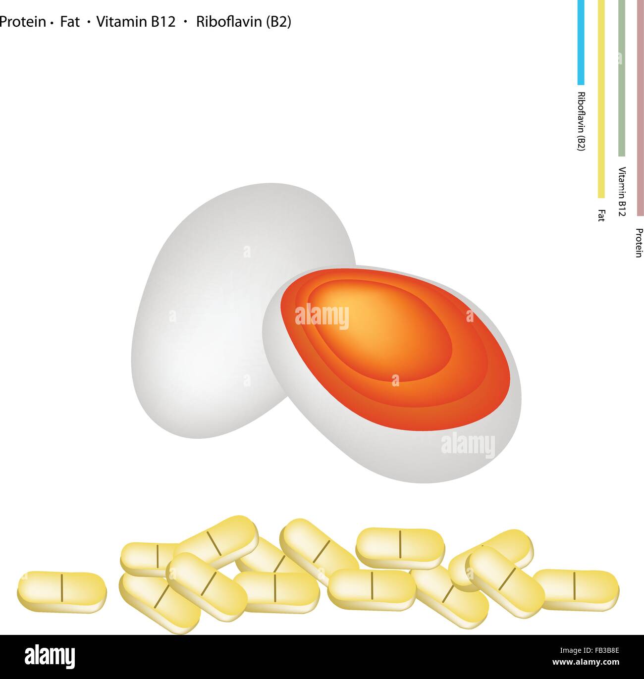 Healthcare Concept, Illustration of Preserved Egg with Protein, Fat