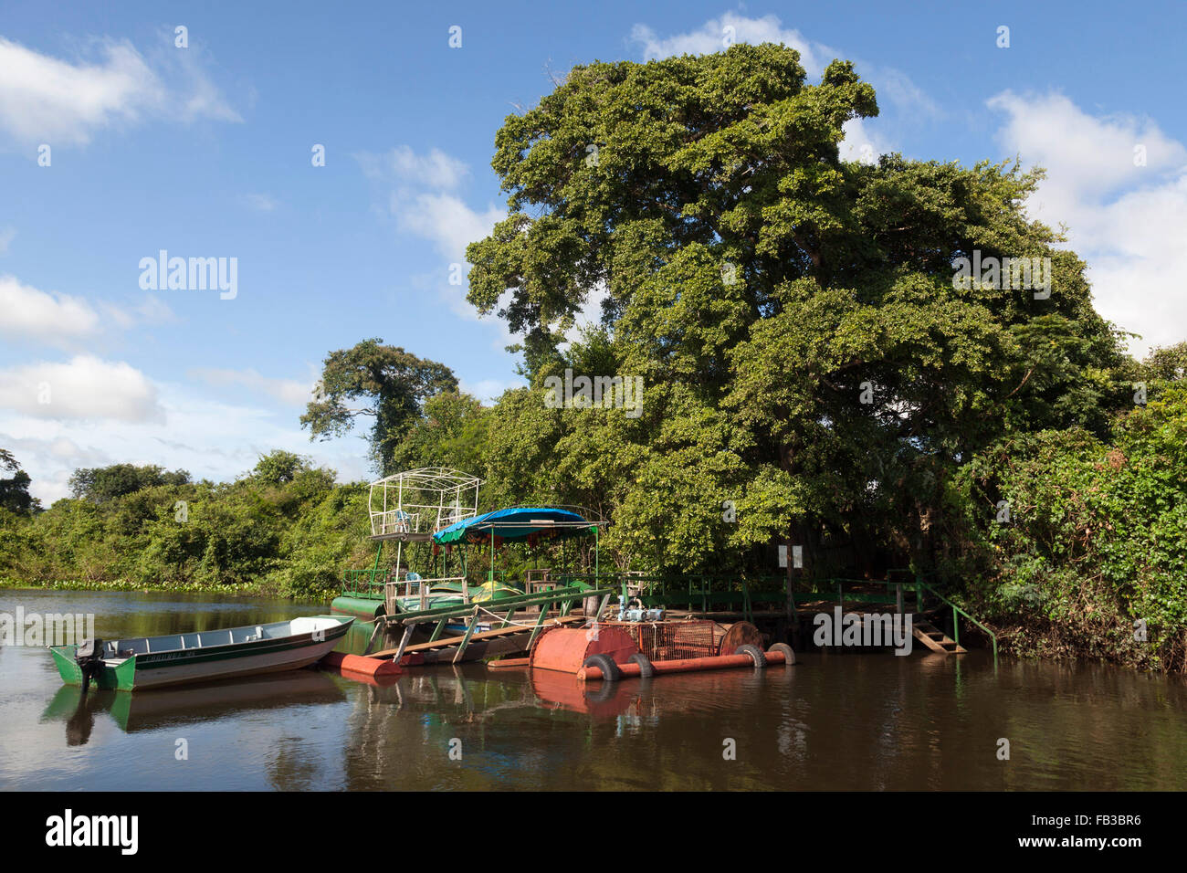 Brazil pantanal mato grosso hi-res stock photography and images - Alamy