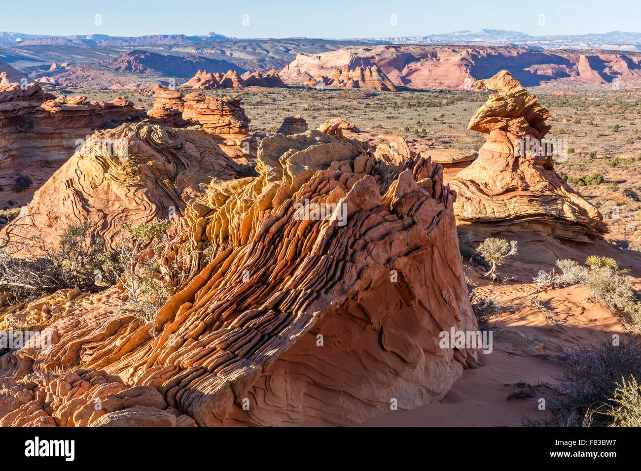 Strange rock formations known as Dali Rocks in the Coyote Buttes region of the Vermillion Cliffs National Monument in Arizona Stock Photo