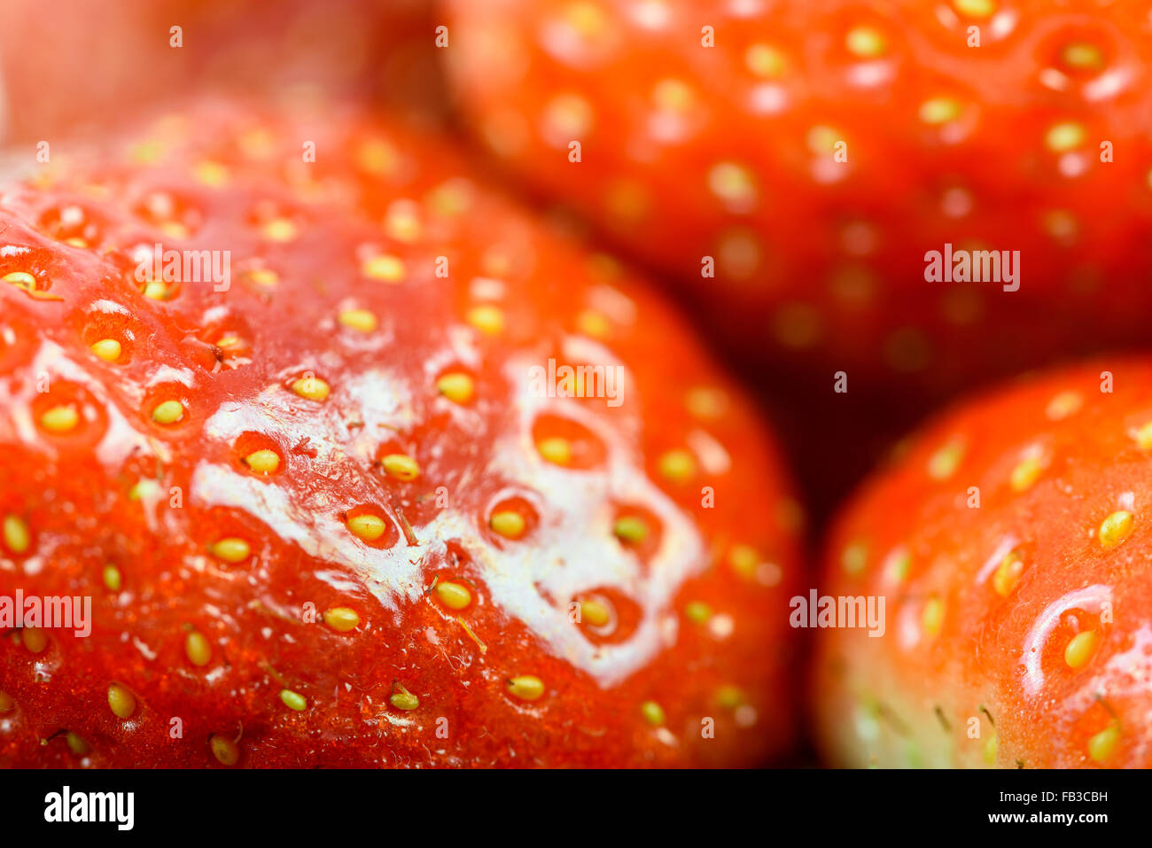 Fresh Red Strawberries Macro In Fruit Market Stock Photo - Alamy