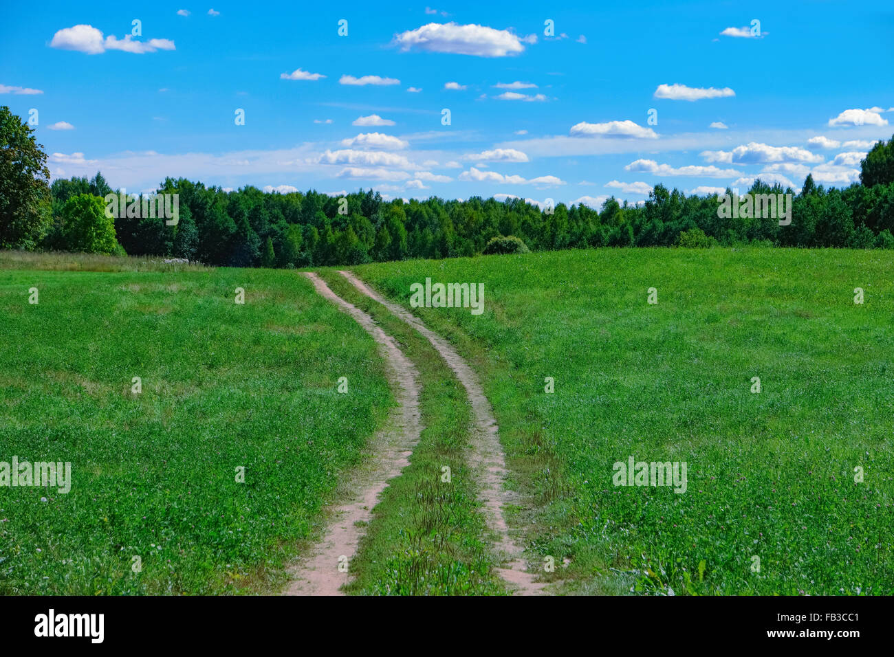 Beautiful summer landscape with road to forest, sky and clouds Stock Photo