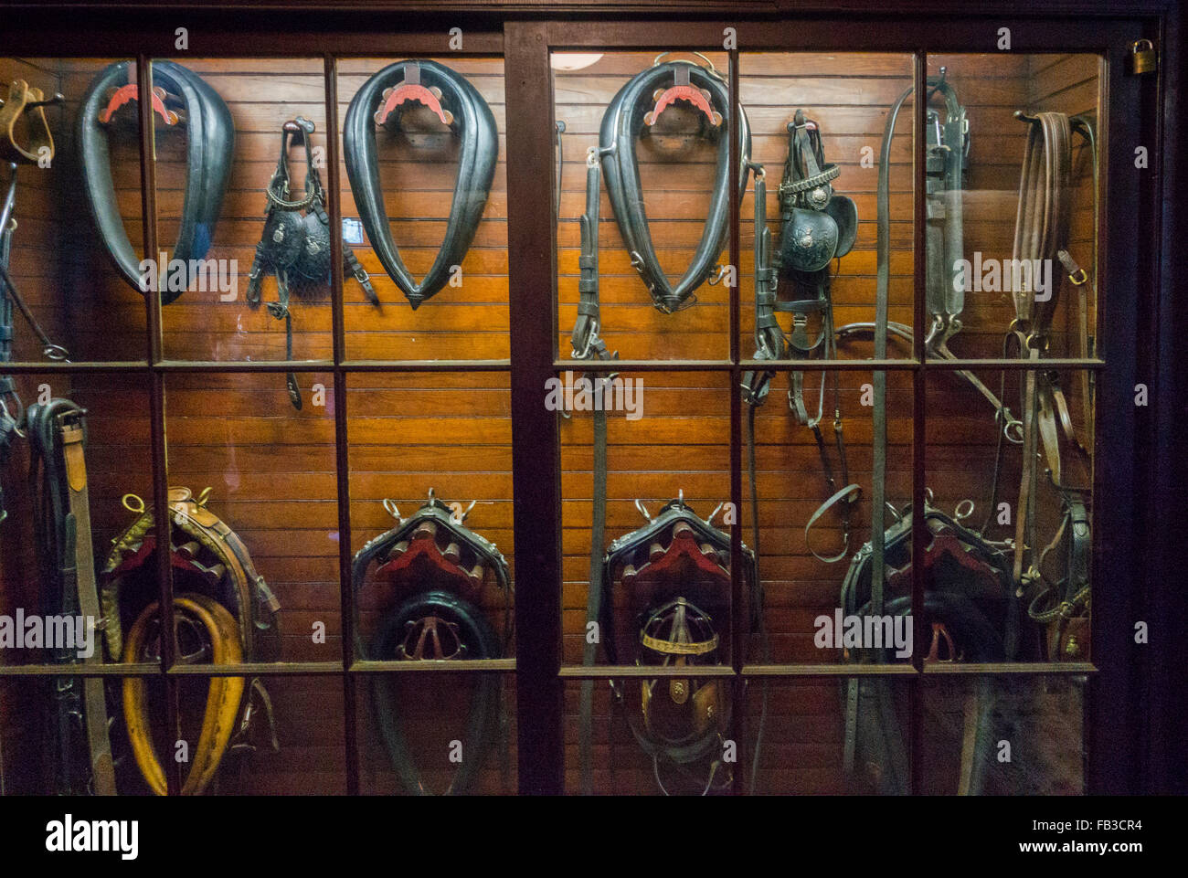 Franklin D Roosevelt presidential library and museum Stock Photo - Alamy