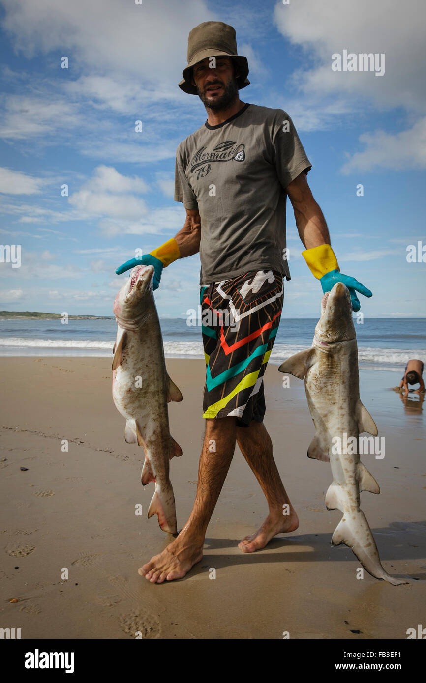Fisherman with cazon, dogfish, Punta del Diablo. Uruguay Stock Photo