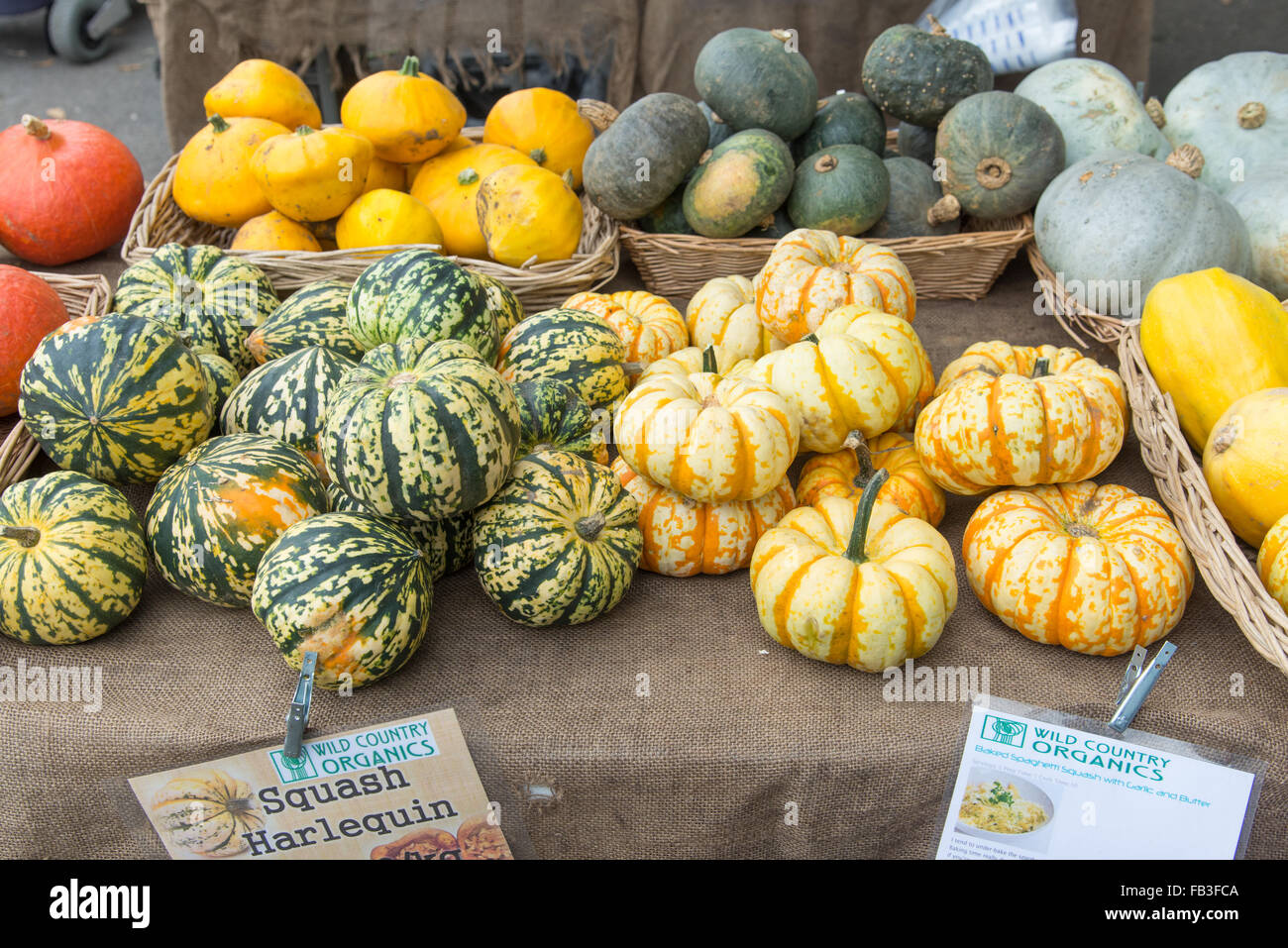 Squash for sale at an organic farmers market vegetable stall, London, England, UK Stock Photo