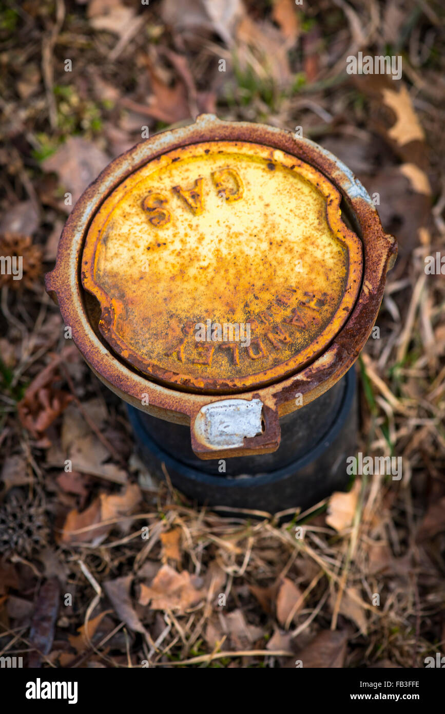 Rusty gas pipe access point with dead leaves in background Stock Photo