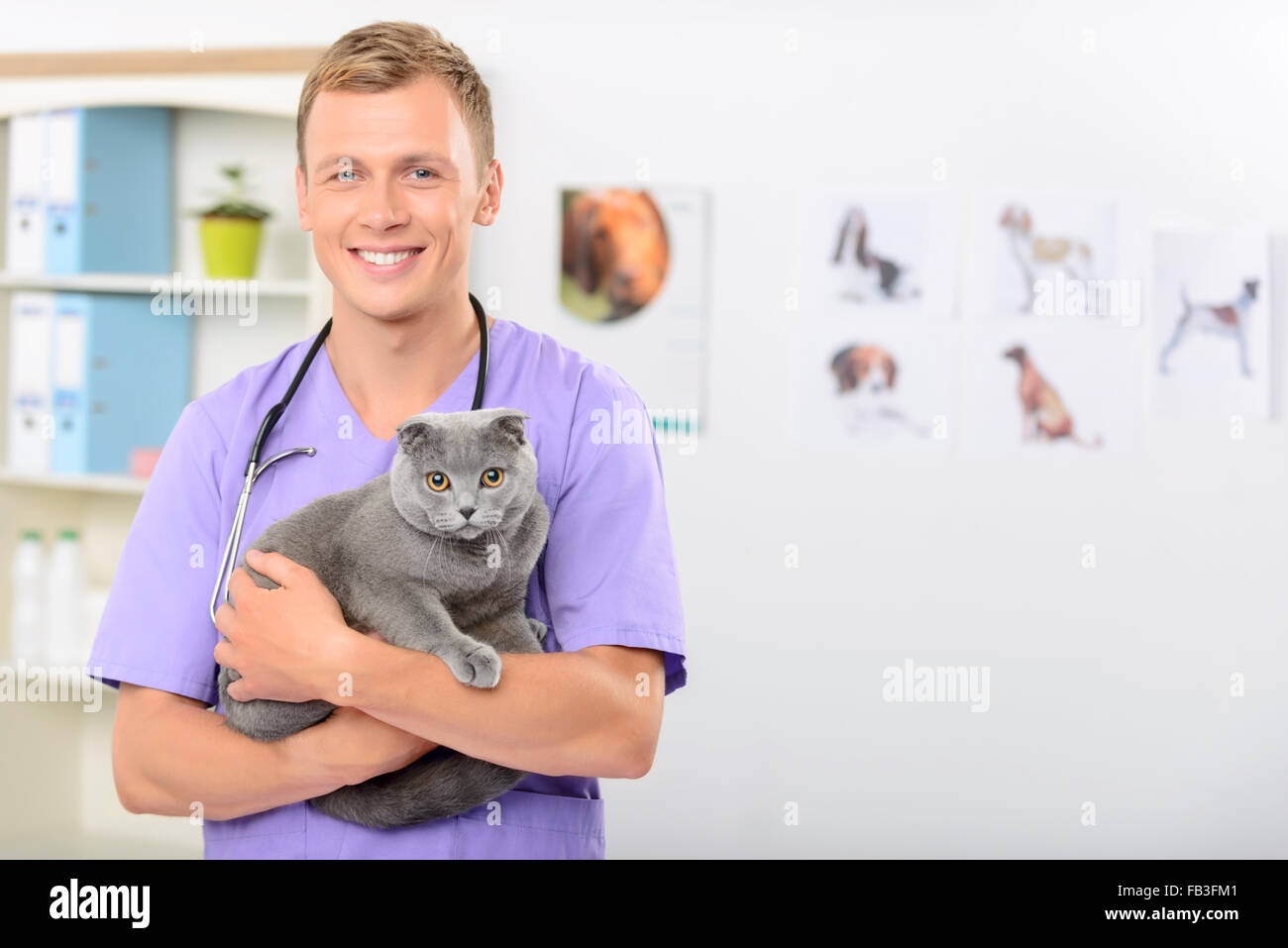 Positive vet examining a cat Stock Photo