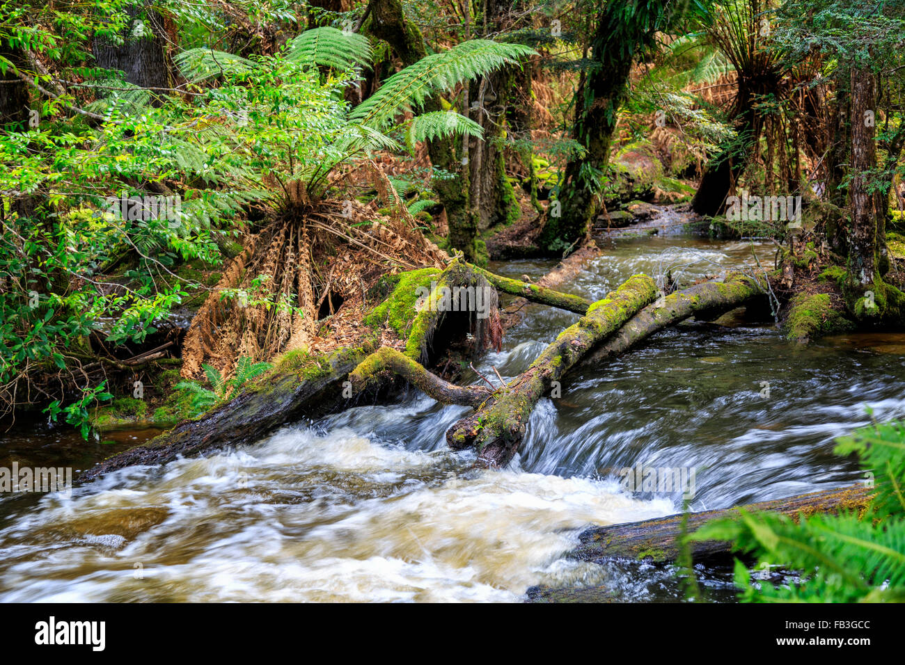 Mt field national park hi-res stock photography and images - Alamy