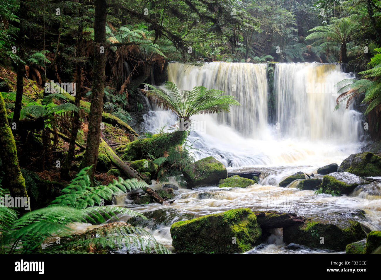 Mt field national park hi-res stock photography and images - Alamy