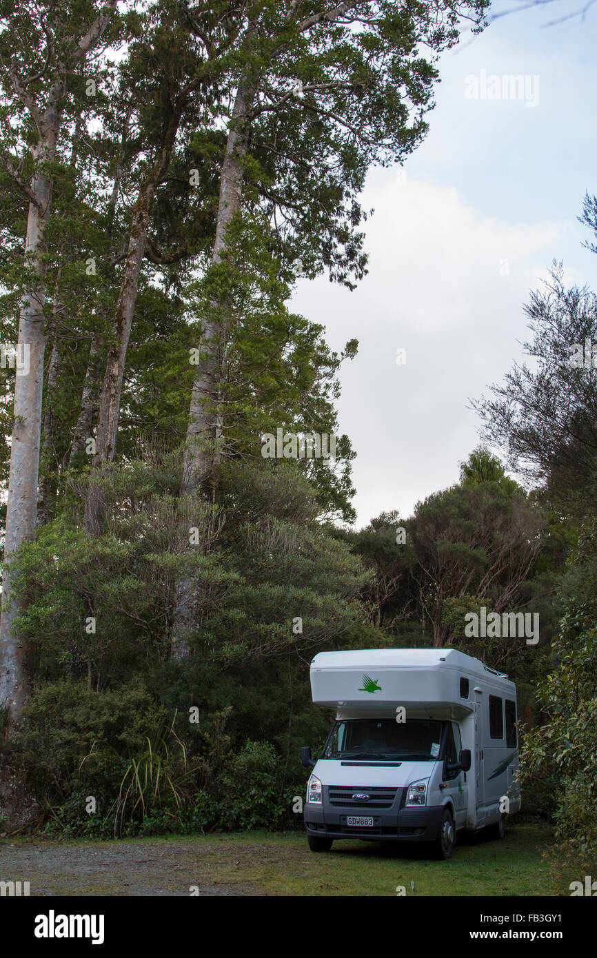 A Kea Campervan is parking in Omahuta Forest, one of the most impressive remaining Kauri forest in New Zealand. Stock Photo