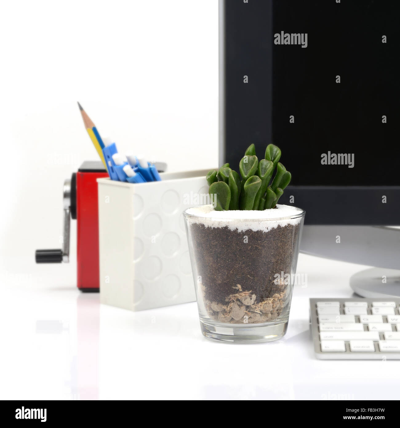 Small Cactus In Glass On Office Desk Make Be Close To Nature Stock