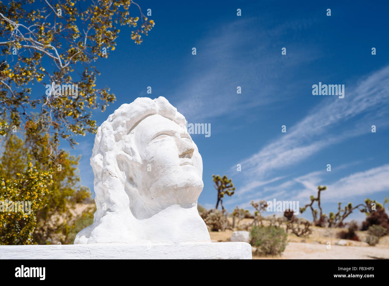 A sculpture of a man's head in Desert Christ Park, Southeastern California Stock Photo
