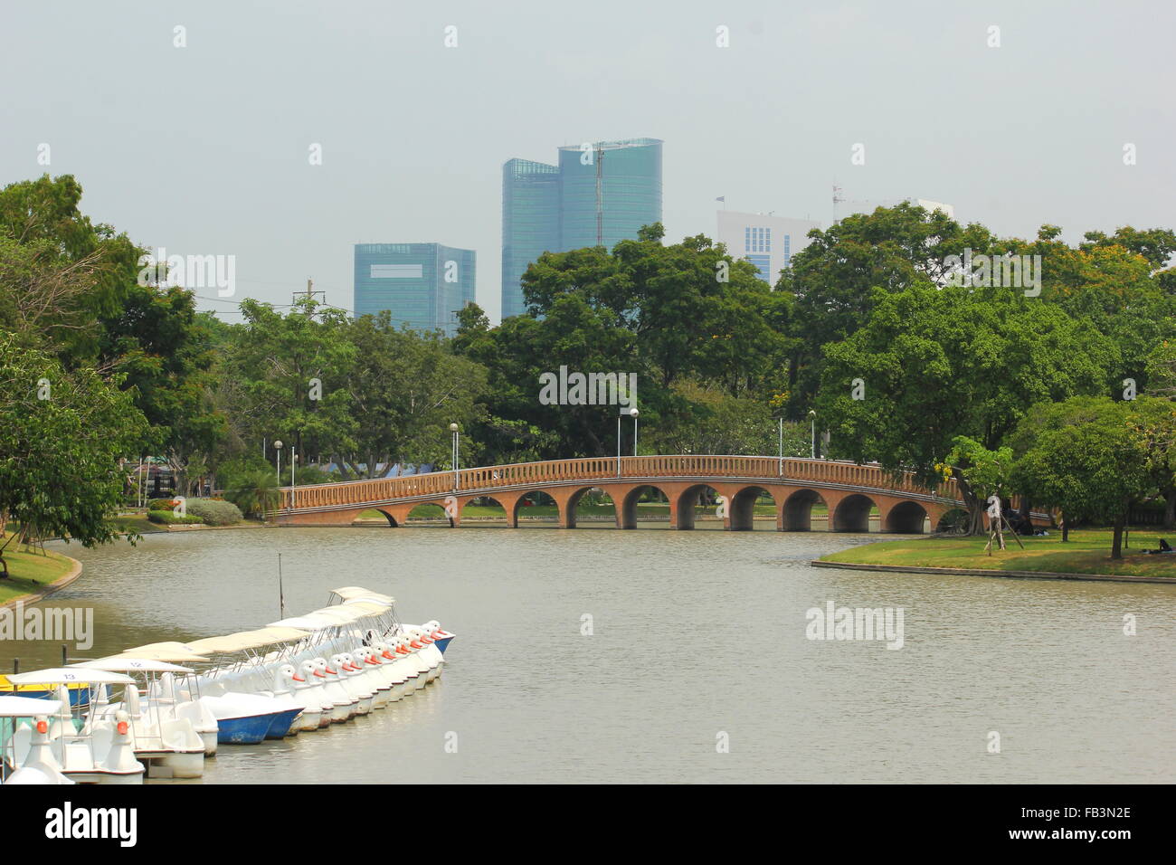 bridge and lake with duck pedal boat inside park in the city at bangkok Stock Photo