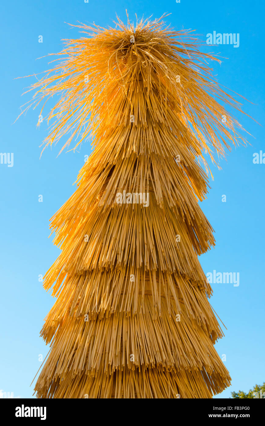 Japanese sago palm tree wrapped with straw for protection during the winter in Nijo Castle, Kyoto, Japan Stock Photo
