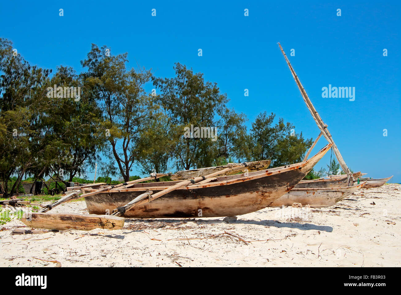 Wooden sailboats  (dhows) and trees on a tropical beach of Zanzibar island Stock Photo