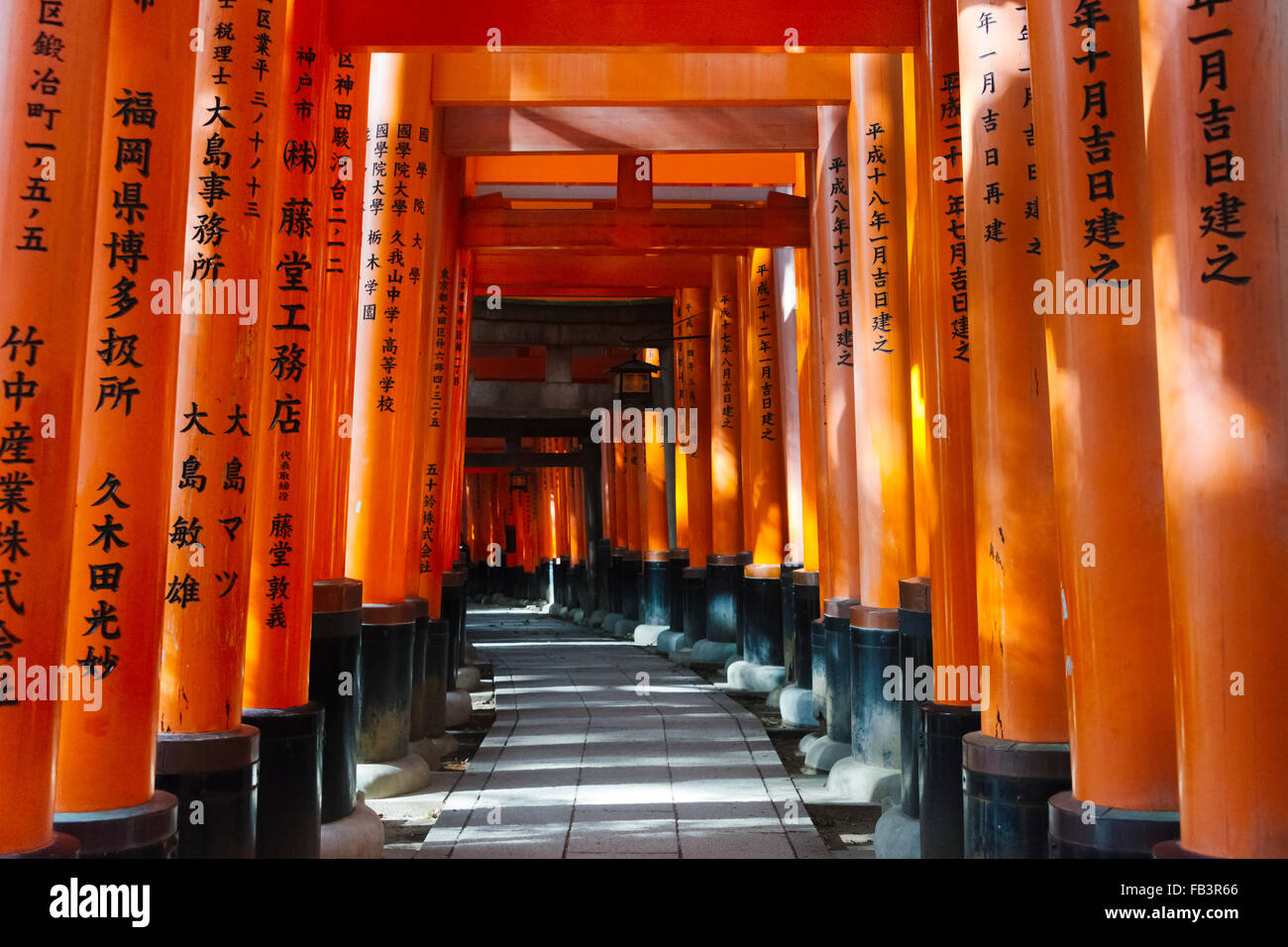 Senbon Torii Thousands Of Torii Gates In Fushimi Inari Shrine Kyoto Japan Stock Photo Alamy