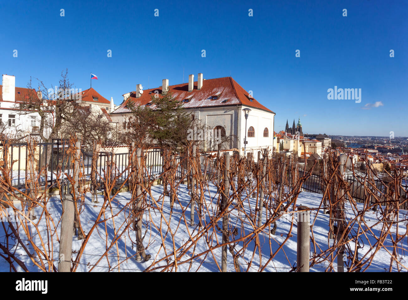Snowy vineyards below the Strahov Monastery with a view of Prague Castle and the city. Prague, Czech Republic Stock Photo