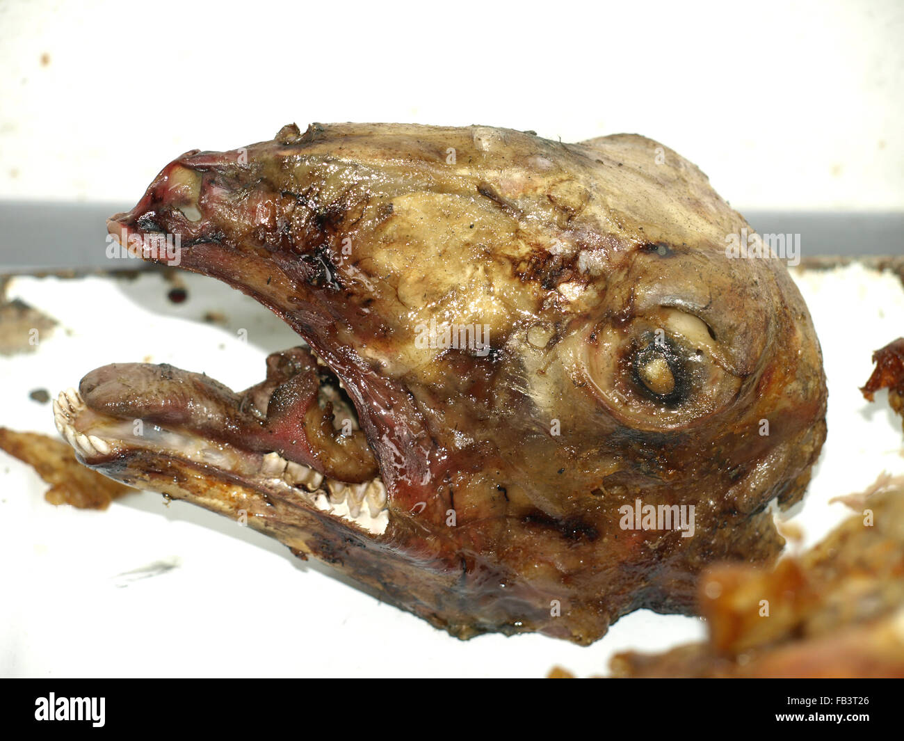 Roasting head of a lamb on a spit outdoors for a birthday party Stock Photo