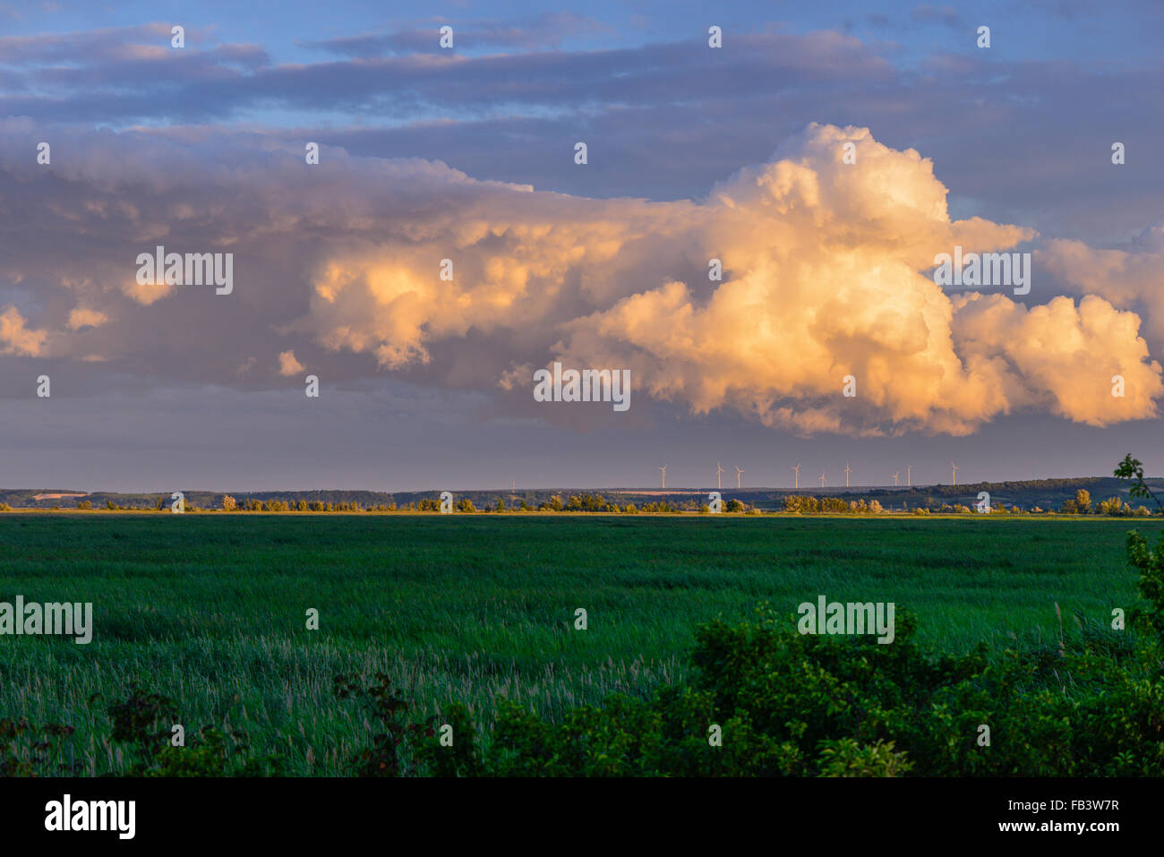 Pannonian landscape with wind park and heavy thunder storm clouds, evening sky, Moerbisch, Burgenland, Austria, Northern Burgenl Stock Photo