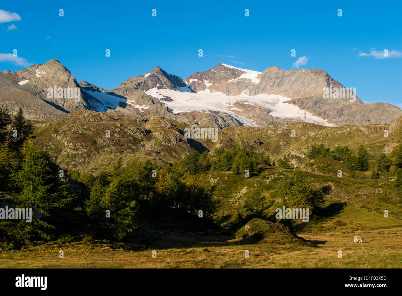 Bernina Pass, Graubuenden, Switzerland, Grisons Stock Photo