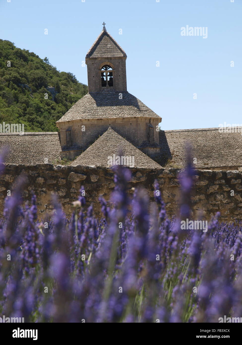 Senanque, France, Provence Stock Photo