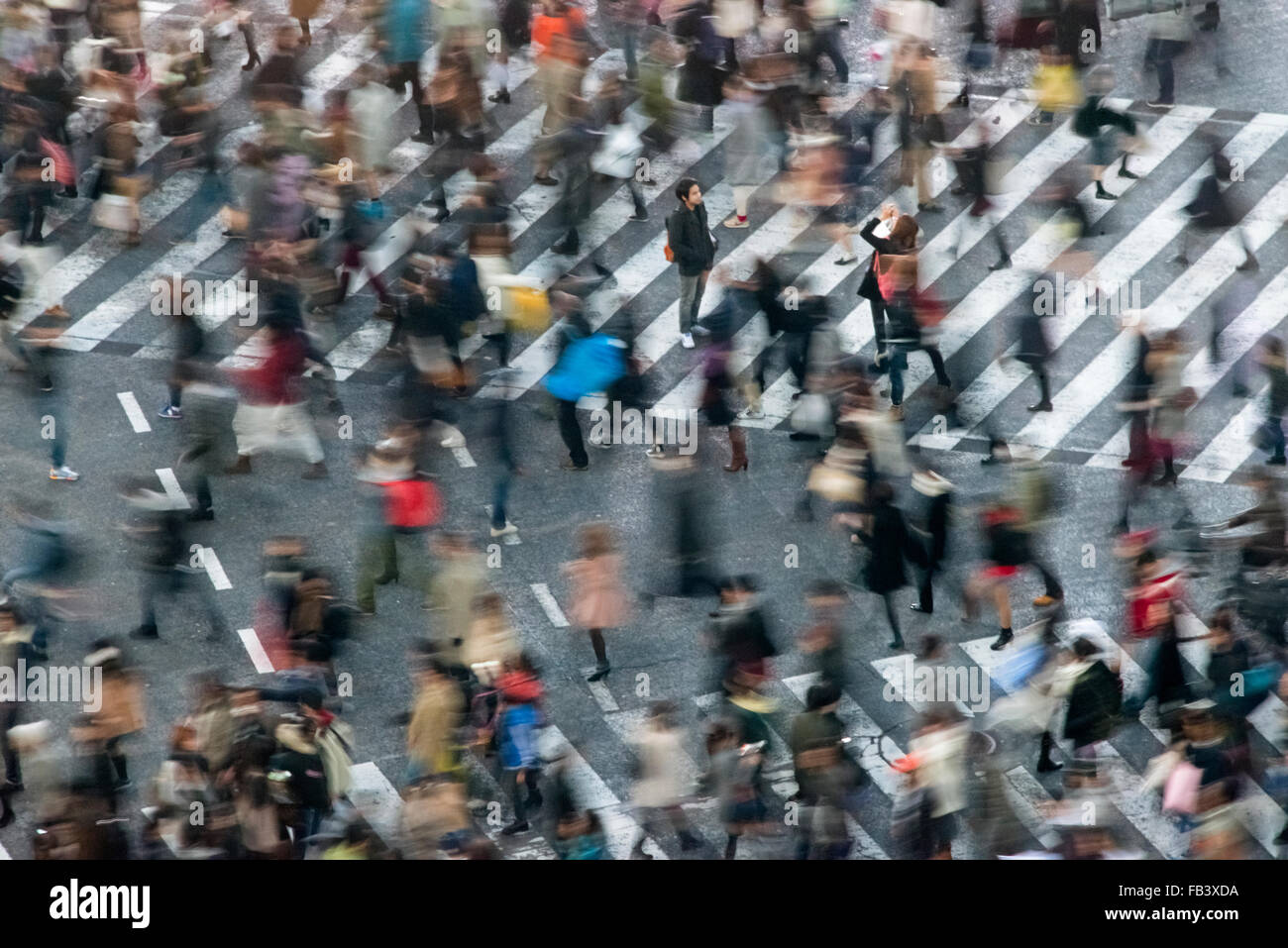 Shibuya Crossing, Tokyo, Japan Stock Photo