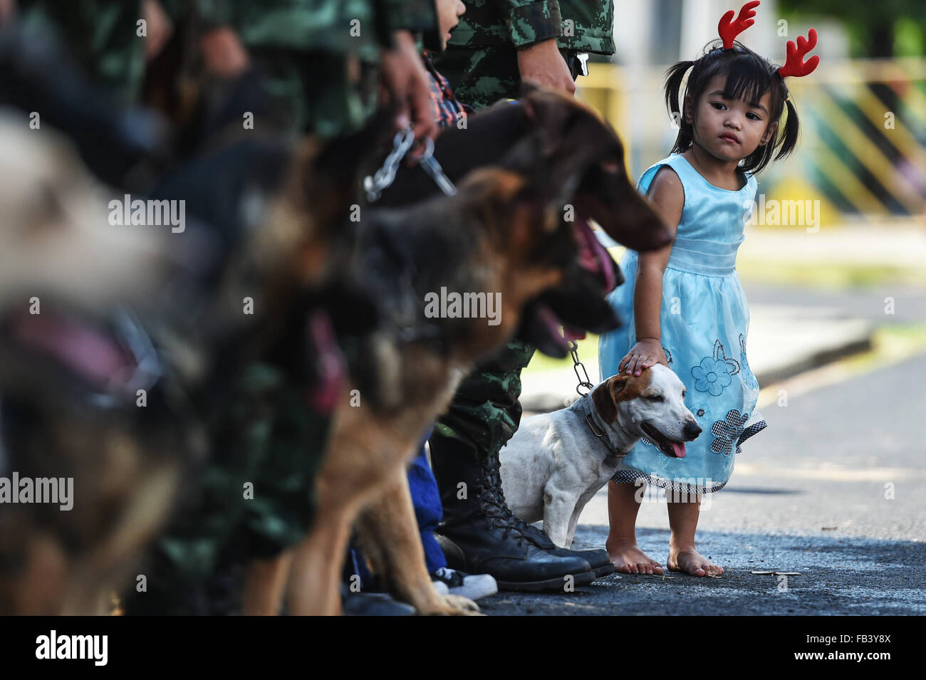 (160109) -- BANGKOK, Jan. 9. 2016 (Xinhua) -- A girl poses for photos with army dogs during a public opening event marking the Thai Children' s Day at the Royal Thai Army 2nd Cavalry Division based in the north of downtown Bangkok, Thailand, Jan. 9, 2016. Thailand opened a number of its military bases to the public while the Thai Children' s Day is observed on the second Saturday in January. (Xinhua/Li Mangmang) Stock Photo