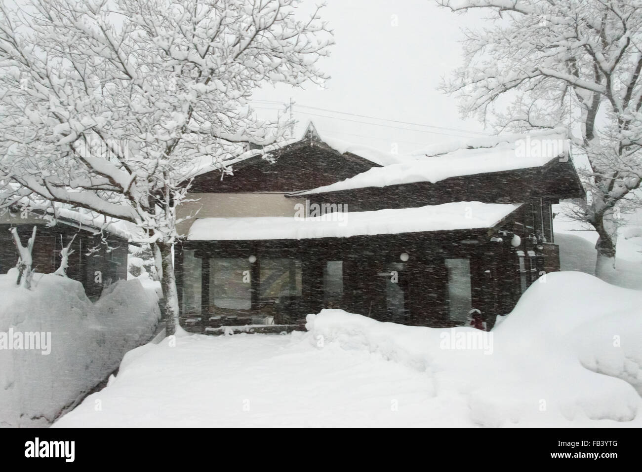 House in snow storm, Gifu Prefecture, Japan Stock Photo