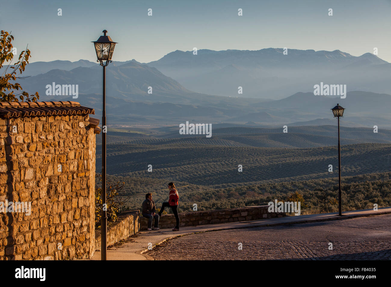 Olive fields from Ronda Antonio Muñoz Molina.In background Sierra Mágina.Ubeda.Jaen province. Andalusia. Spain Stock Photo