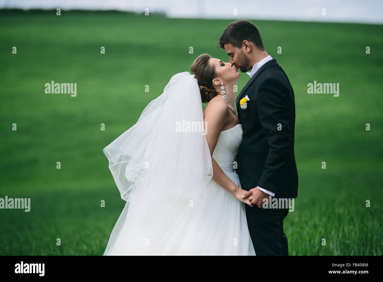 Beautiful wedding couple on nature Stock Photo - Alamy