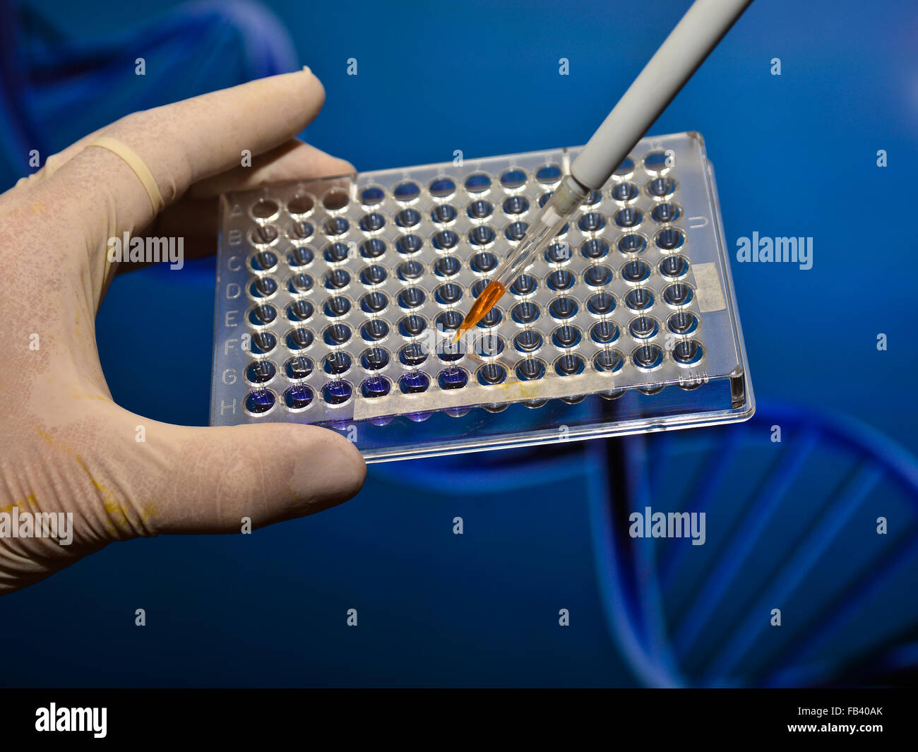A scientific experiment in the laboratory. The study of biological