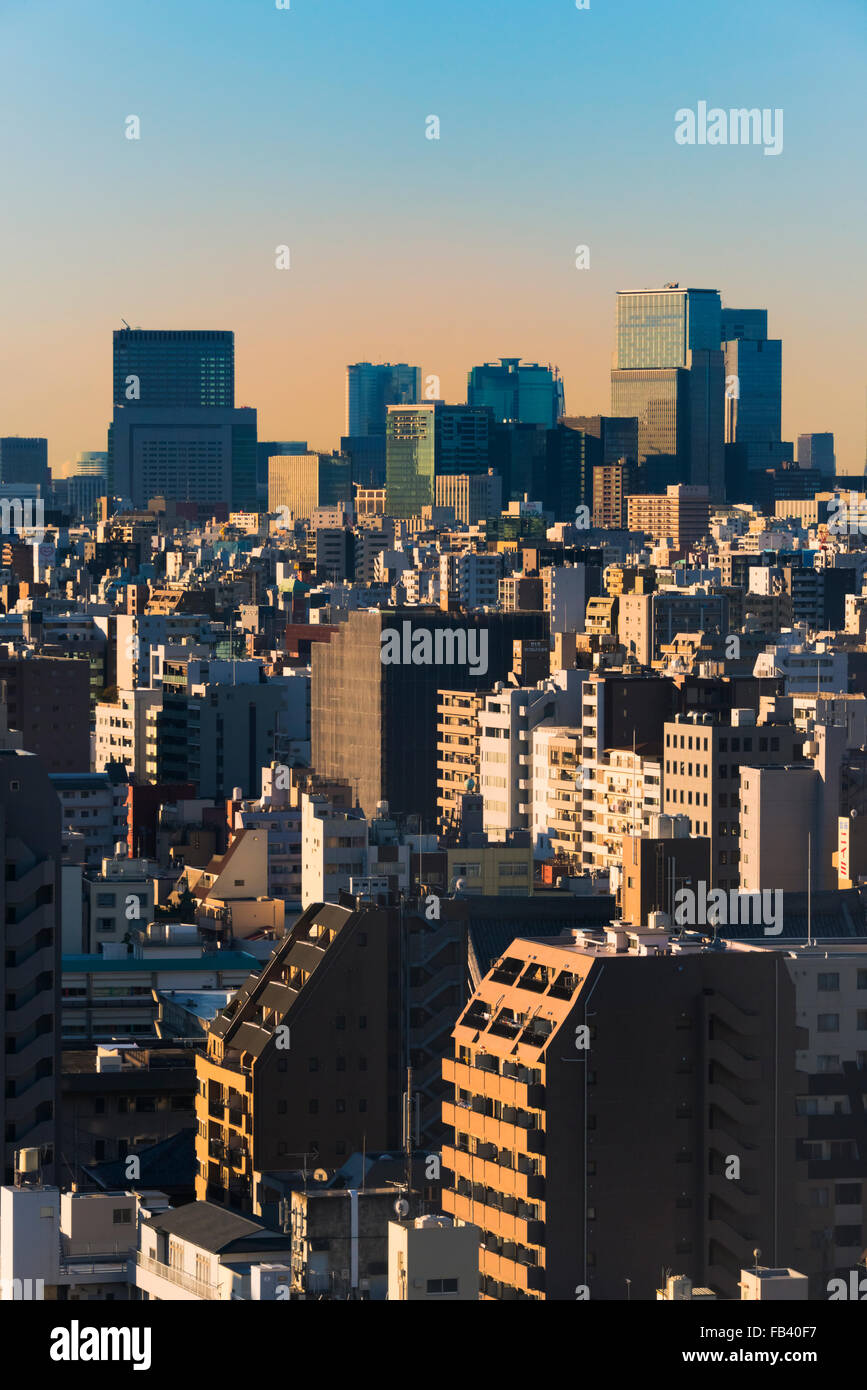 Downtown skyline at dawn, Tokyo, Japan Stock Photo