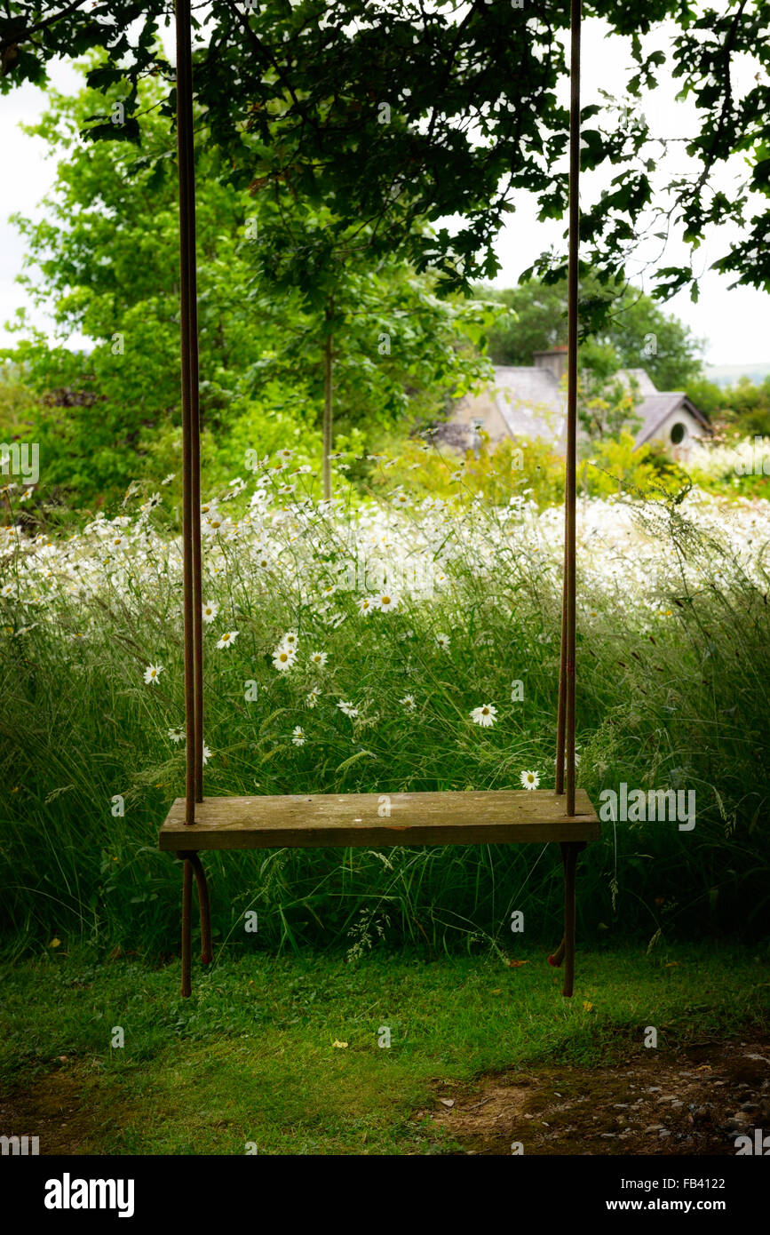 empty swing seat hang hanging tree garden park parkland flower flowers  flowering summer Stock Photo - Alamy