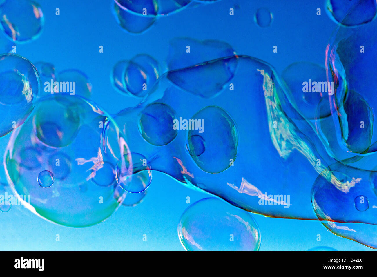 Soap bubbles on a blue background, abstract Stock Photo