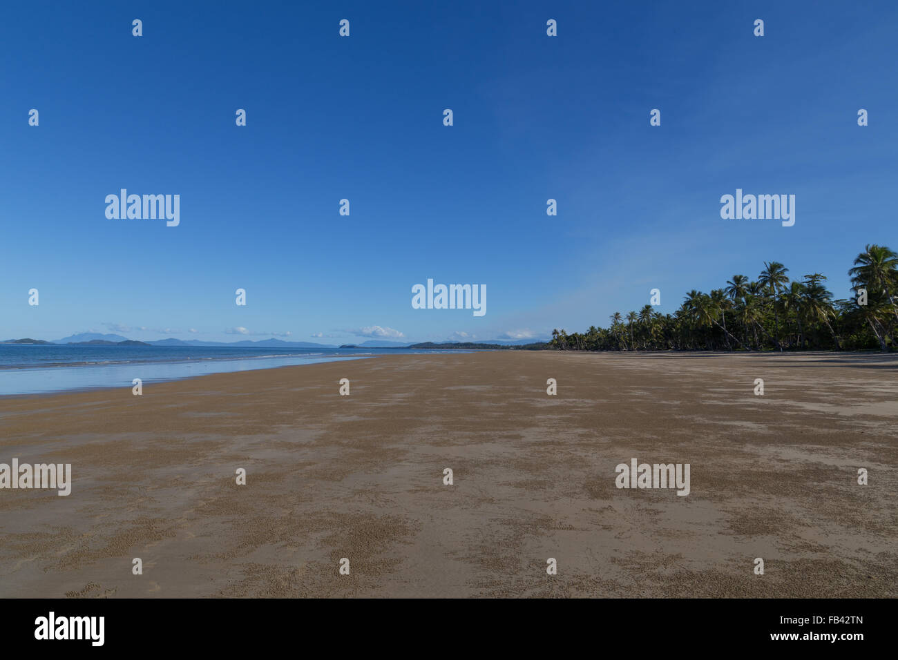 Photograph of Mission Beach in Queensland, Australia Stock Photo Alamy