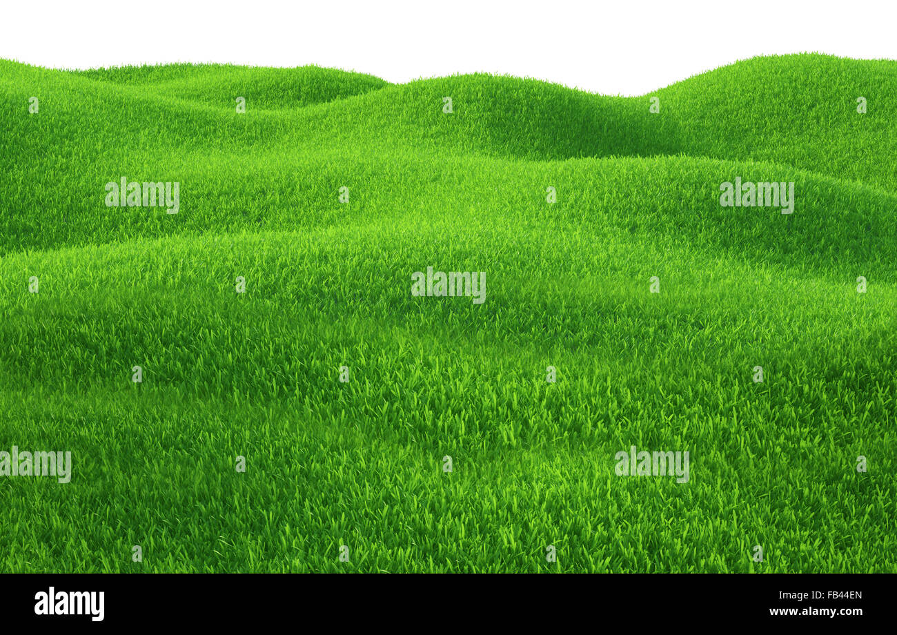 Green grass growing on hills with white background top view Stock Photo ...