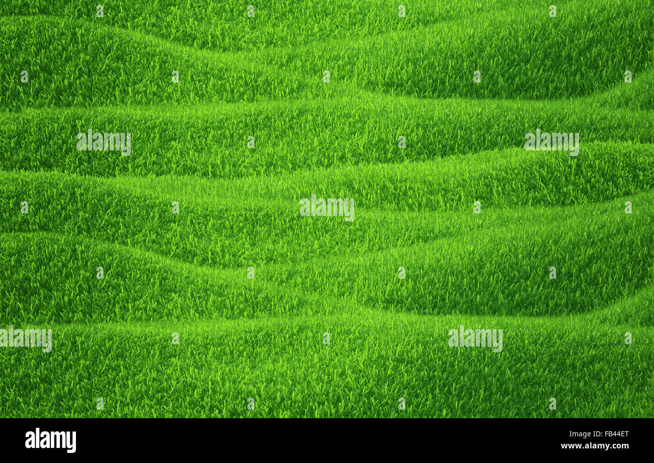 Green grass growing on hills with white background top view Stock Photo ...