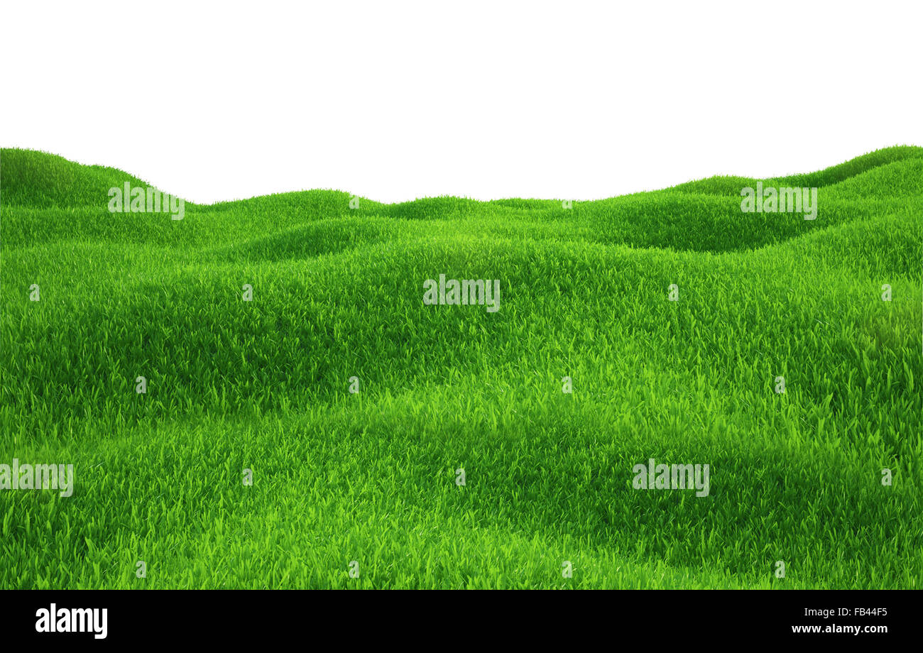 Green grass growing on hills with white background top view Stock Photo ...