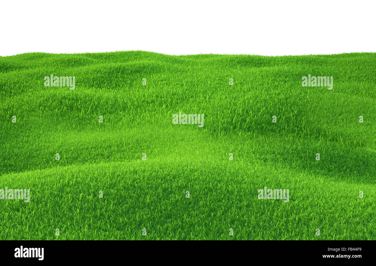 Green grass growing on hills with white background top view Stock Photo ...
