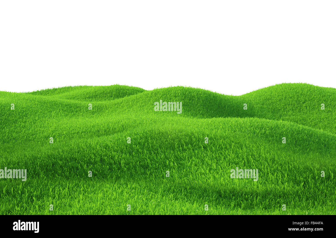 Green grass growing on hills with white background top view Stock Photo ...