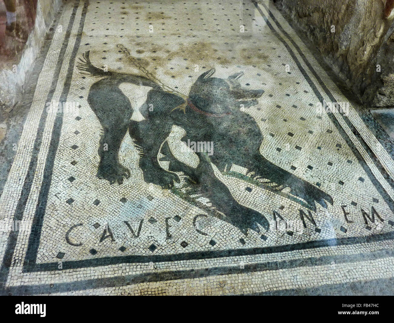 Mosaic floor in Pompeii Stock Photo Alamy