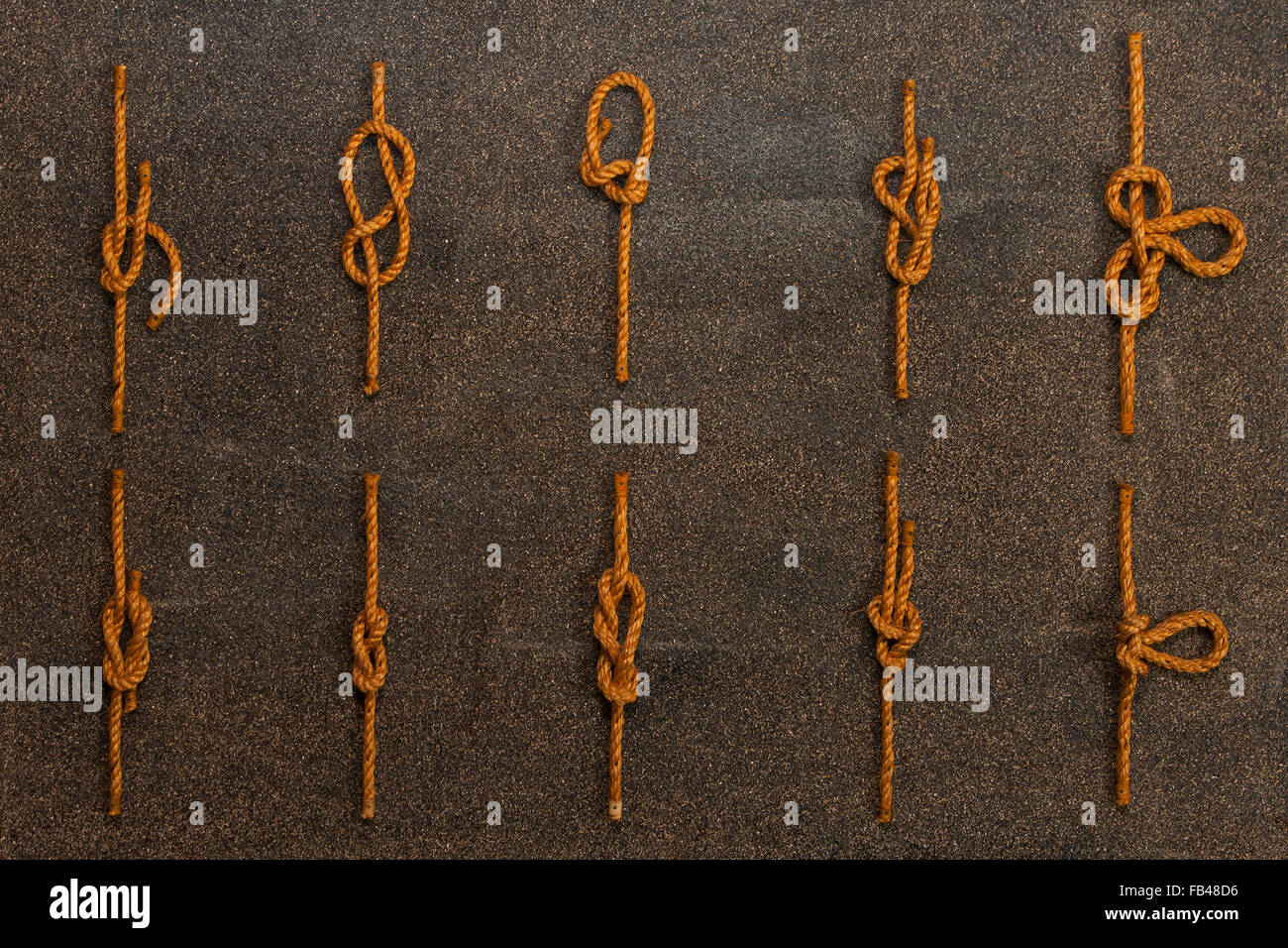 Wall of various rope tie knots Stock Photo