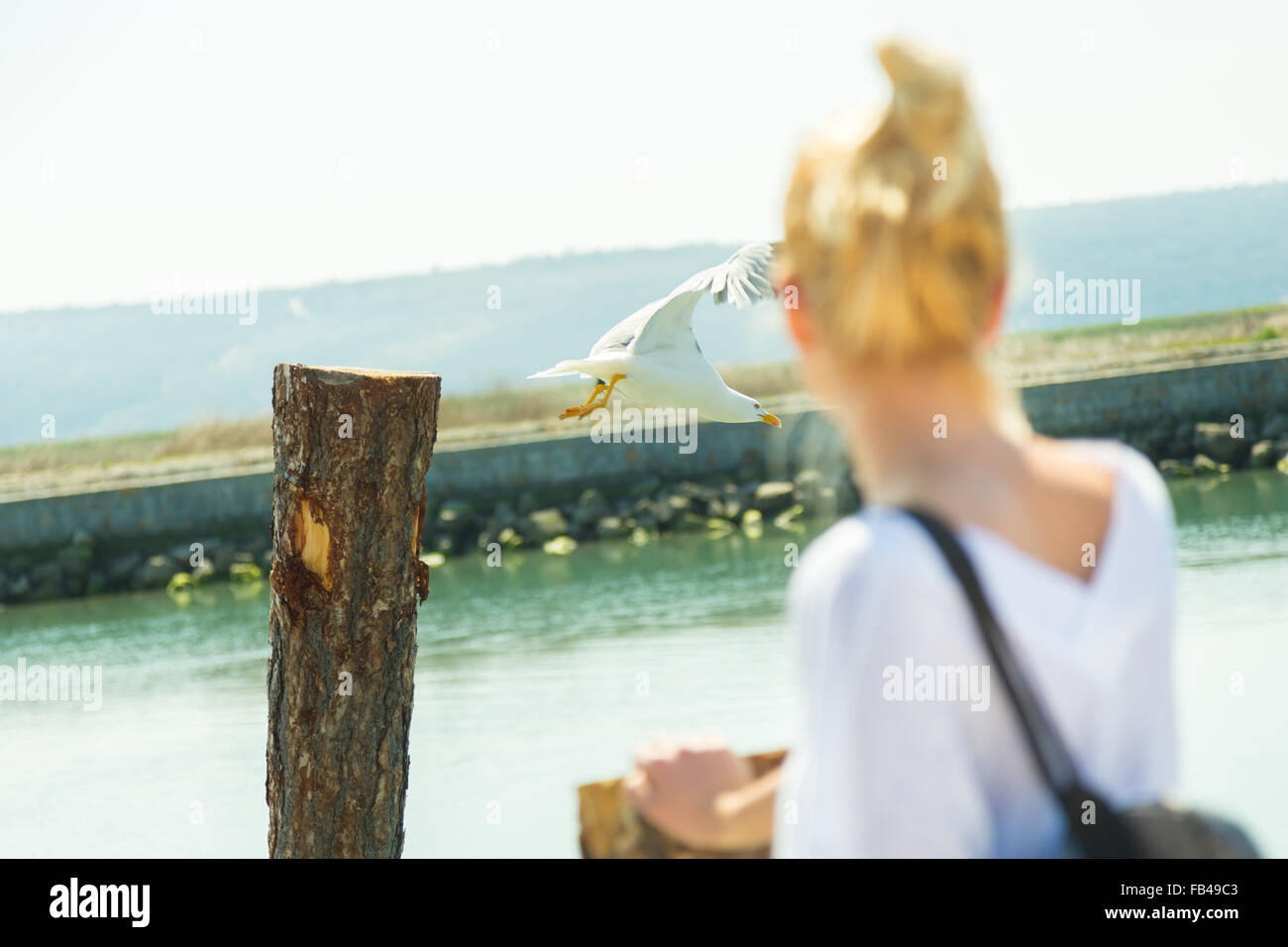 Woman watching seagull in summertime. Stock Photo